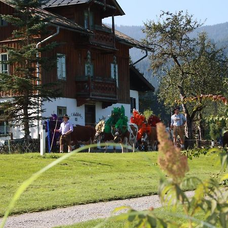 Gästehaus Högerhof Hopfgarten im Brixental Exterior foto